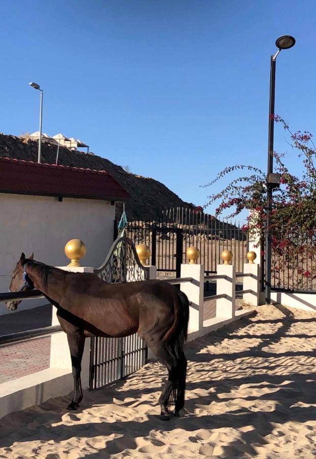 Rohara Resort Ta'if Dış mekan fotoğraf